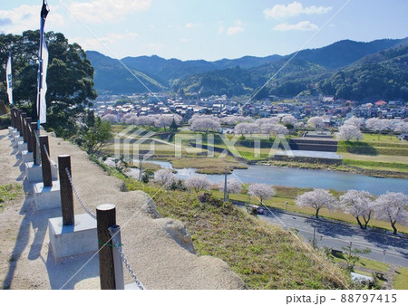 整備の済んだ春の月山富田城　千畳平 88797415