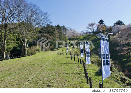 整備の済んだ春の月山富田城　馬乗馬場 88797749