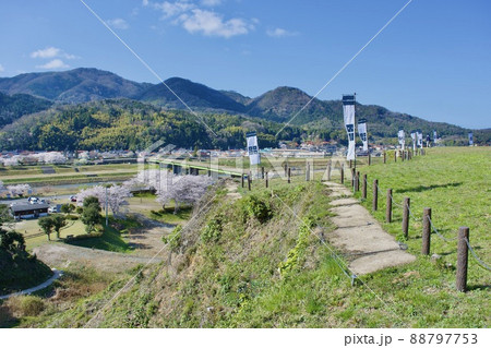 整備の済んだ春の月山富田城　馬乗馬場 88797753