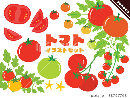 トマトのイラストセット 88797768