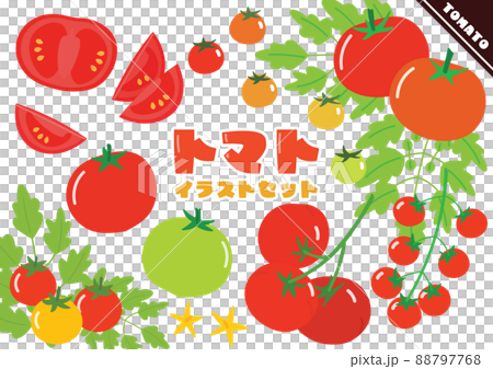 トマトのイラストセット 88797768