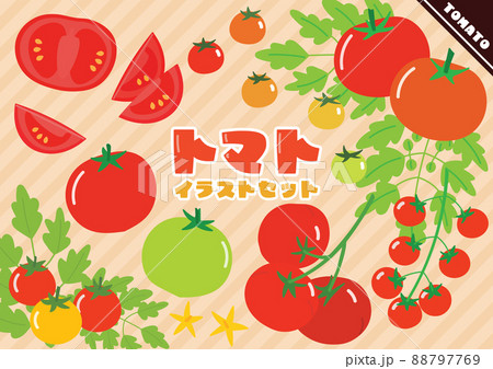 ポップなトマトのイラストセット 88797769