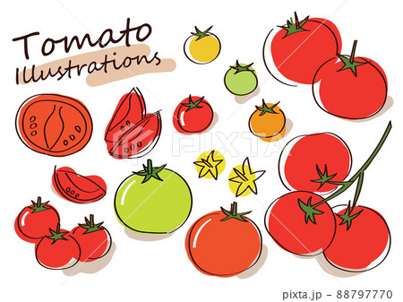 お洒落な手描きのトマトイラスト 88797770