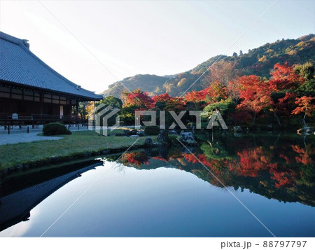 京都　天龍寺の紅葉 88797797