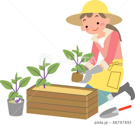 夏野菜の苗を植える女性のイラスト素材 7972