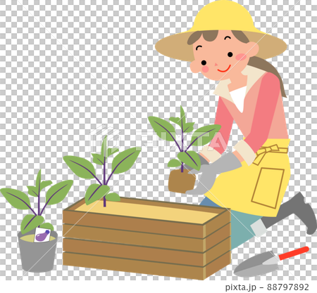 種植夏季蔬菜幼苗的婦女 種植夏季蔬菜幼苗的婦女 88797892