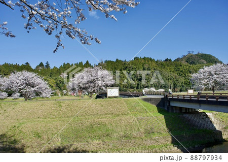 整備の済んだ春の月山富田城下 88797934