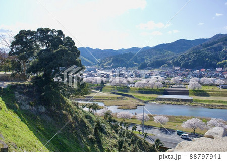 整備の済んだ春の月山富田城下 88797941