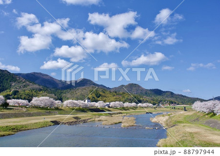 整備の済んだ春の月山富田城下 整備の済んだ春の月山富田城下 88797944