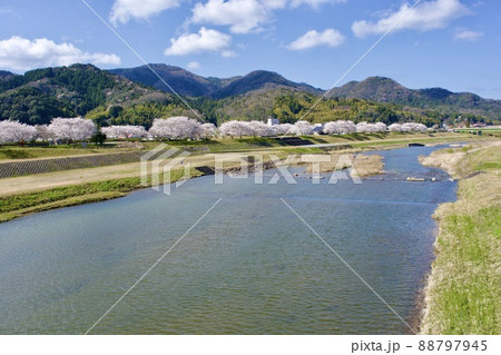 整備の済んだ春の月山富田城下 88797945