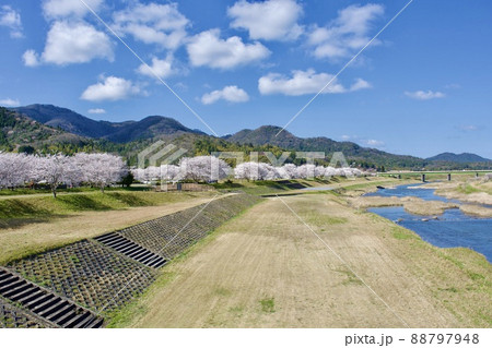 整備の済んだ春の月山富田城下 88797948