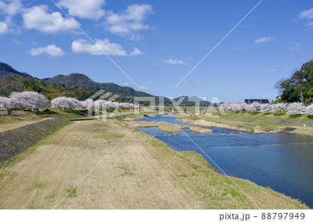 整備の済んだ春の月山富田城下 整備の済んだ春の月山富田城下 88797949