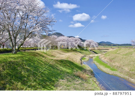 整備の済んだ春の月山富田城下 整備の済んだ春の月山富田城下 88797951