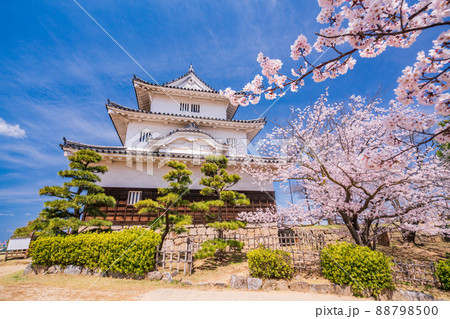 (香川県)桜咲く丸亀城 (香川県)桜咲く丸亀城 88798500