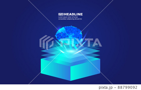 ブレイン 脳みそ 脳 88799092