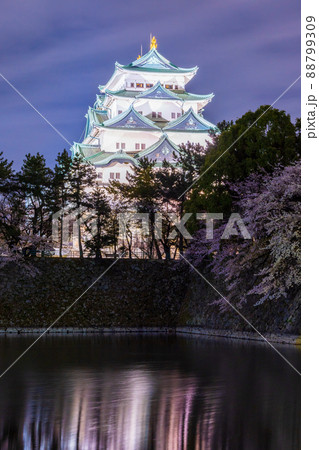 夜空にライトアップされた名古屋城と堀に反射する城 88799309