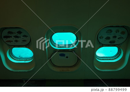 千葉県勝浦市の勝浦海中展望塔の海中展望室 千葉県勝浦市の勝浦海中展望塔の海中展望室 88799499