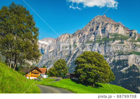 Wooden houses on the slope with picturesque view, Grindelwald, Switzerland 88799708