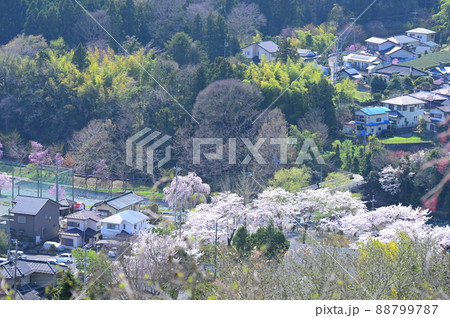 春の寄村風景《松田町》 春の寄村風景《松田町》 88799787