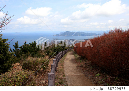 山口県長門市の人気観光スポット「千畳敷」青い海と空の絶景 山口県長門市の人気観光スポット「千畳敷」青い海と空の絶景 88799973