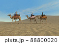乾いた砂漠を行くラクダ3頭 88800020