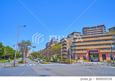春の東京都稲城市若葉台2丁目の若葉台西交差点付近から北西方面 88800036