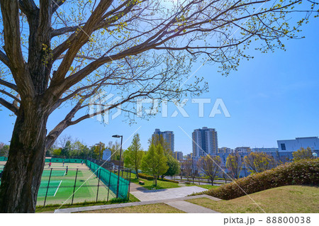 春の東京都稲城市若葉台1丁目から南東側の2丁目方面を見る 春の東京都稲城市若葉台1丁目から南東側の2丁目方面を見る 88800038