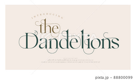 Luxury wedding alphabet letters font with tails. Typography elegant classic lettering serif fonts and number decorative vintage retro concept for logo branding. vector illustration 88800099