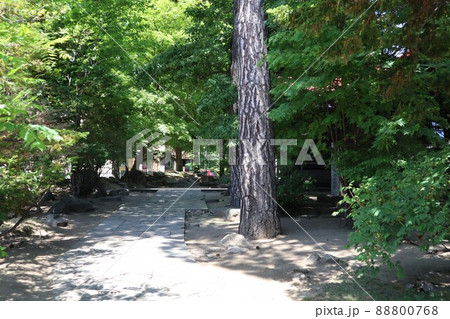 【北海道】札幌市有形文化財 清華亭の庭園 【北海道】札幌市有形文化財 清華亭の庭園 88800768