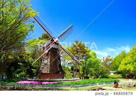 名古屋市、名城公園オランダ風車の風景 88800879