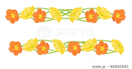 ポピー　飾り罫線 88800885