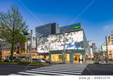 名古屋市・中区 栄 広小路通 広小路呉服町交差点 マルエイガレリア 名古屋市・中区 栄 広小路通 広小路呉服町交差点 マルエイガレリア 88801070