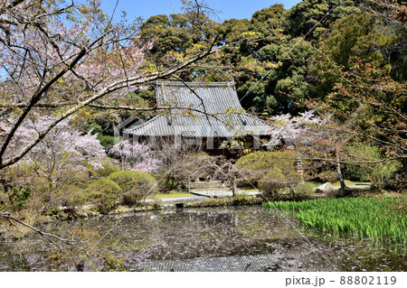 長岳寺(放生池と本堂) 【奈良県天理市柳本町】 長岳寺(放生池と本堂) 【奈良県天理市柳本町】 88802119