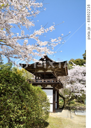 長岳寺(鐘楼門とさくら) 【奈良県天理市柳本町】 長岳寺(鐘楼門とさくら) 【奈良県天理市柳本町】 88802216