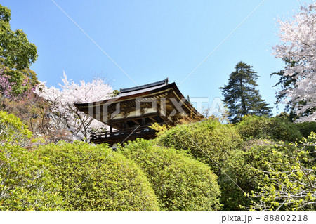 長岳寺(鐘楼門とさくら) 【奈良県天理市柳本町】 長岳寺(鐘楼門とさくら) 【奈良県天理市柳本町】 88802218