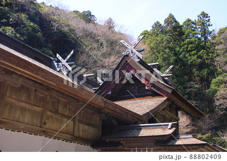 美保神社 88802409