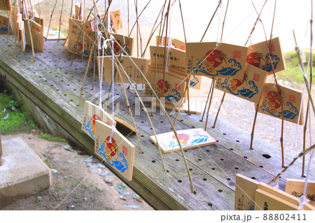 美保神社の絵馬 88802411