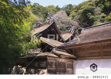 美保神社 美保神社 88802415