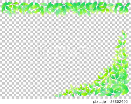 初夏をイメージした新緑の背景イラスト 初夏をイメージした新緑の背景イラスト 88802493