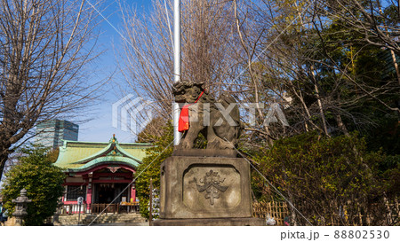 市谷亀岡八幡宮007・狛犬 市谷亀岡八幡宮007・狛犬 88802530