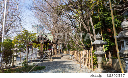 市谷亀岡八幡宮014 市谷亀岡八幡宮014 88802537