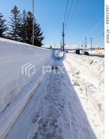 除雪された雪国の歩道 (北海道、俱知安) 除雪された雪国の歩道 (北海道、俱知安) 88802997