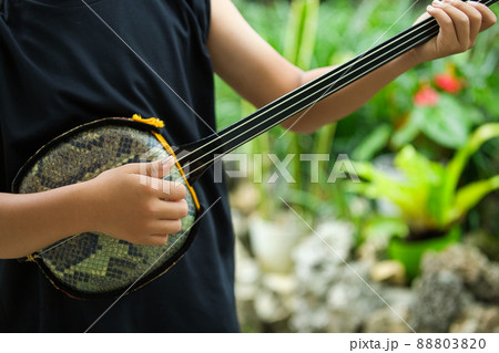 沖縄三線を弾く少年 沖縄三線を弾く少年 88803820