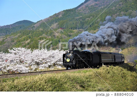 SLやまぐち号　JR山口線　桜咲く　津和野を行く 88804010