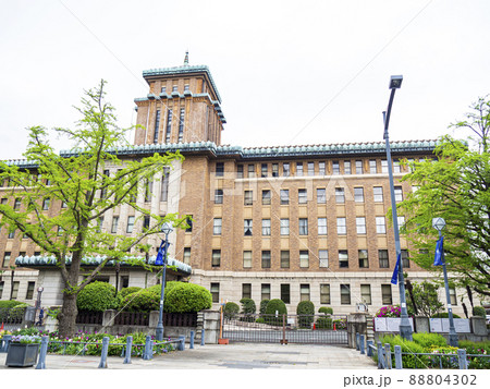 神奈川県横浜市中区日本大通の新緑 88804302