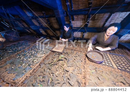 下呂温泉の合掌村 88804452