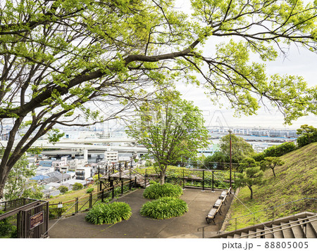 神奈川県横浜市港の見える丘公園の春 88805005