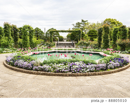 神奈川県横浜市港の見える丘公園の春 神奈川県横浜市港の見える丘公園の春 88805010