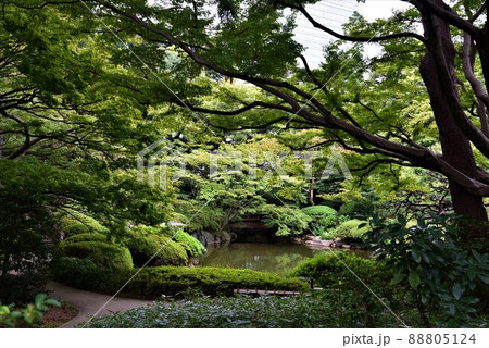 東京　白銀台　旧朝香宮邸　東京都庭園美術館 88805124