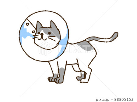 エリザベスカラーをつける猫 コミカルな手書きの人物 ベクター、線画にカラー エリザベスカラーをつける猫 コミカルな手書きの人物 ベクター、線画にカラー 88805152